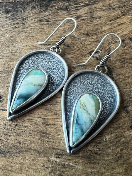 Opalized Wood Earrings
