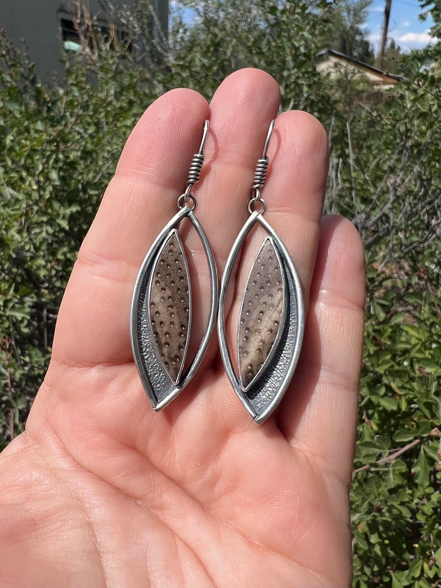 Indonesian Petrified Palm Wood Earrings