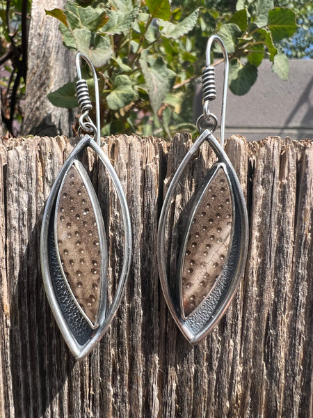 Indonesian Petrified Palm Wood Earrings