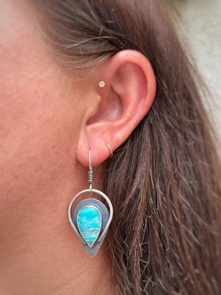 Opalized Wood Earrings