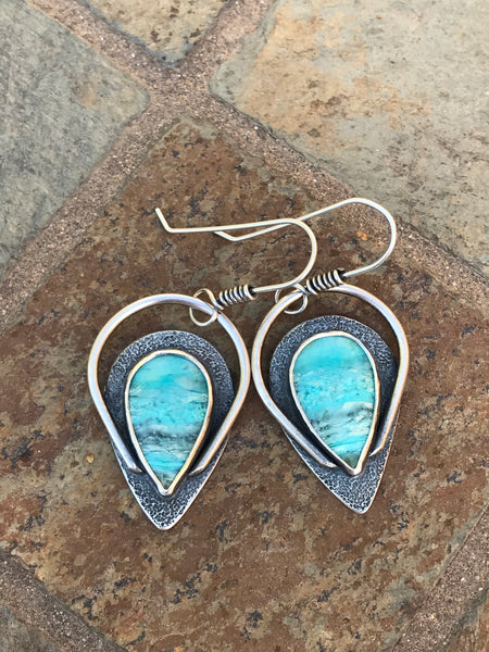 Opalized Wood Earrings